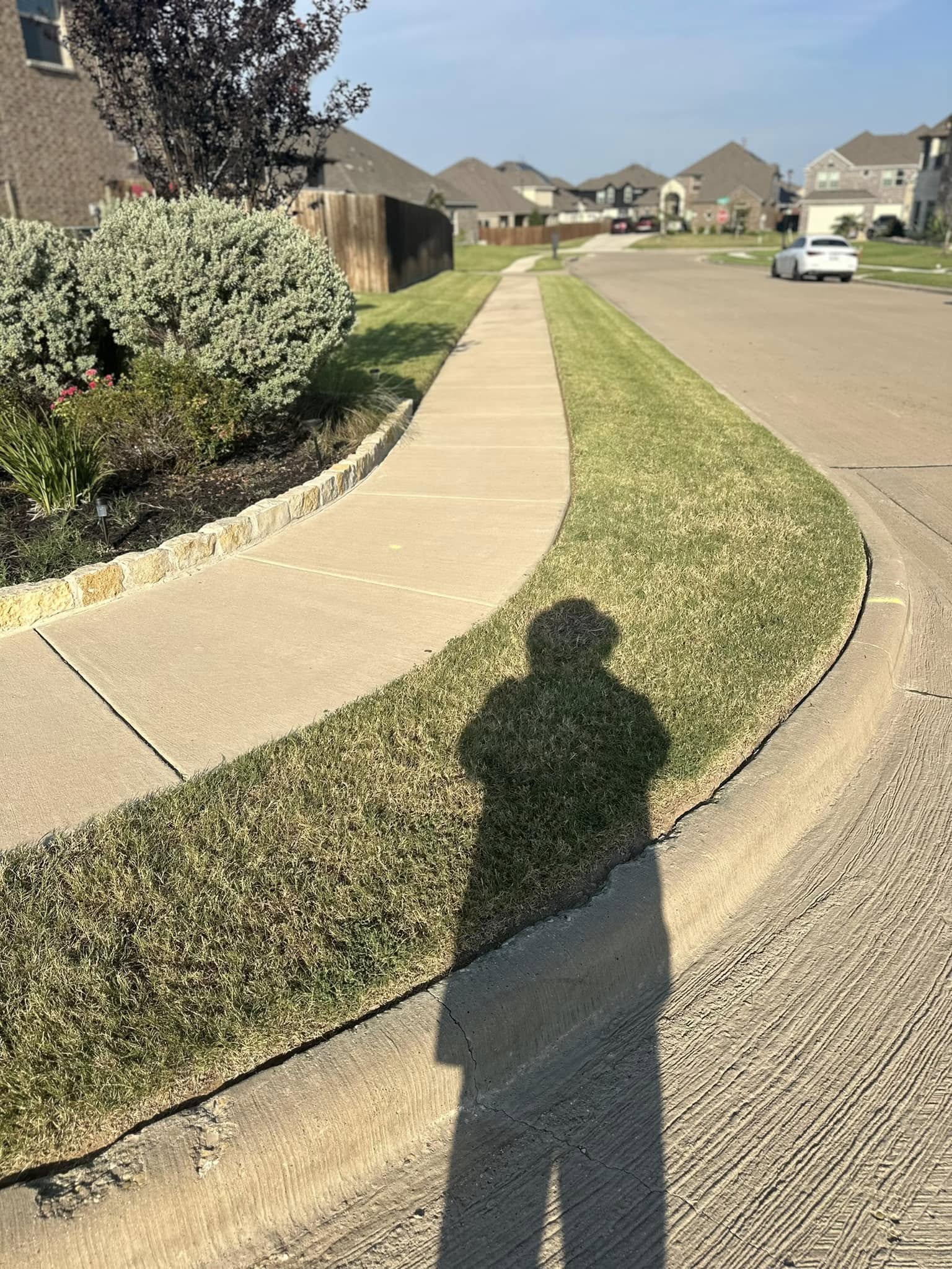 Edging, Creating a Clear Lawn Structure